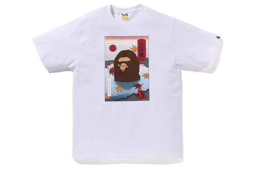 JAPAN AUTUMN A BATHING APE TEE